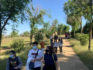 27 ruta 3