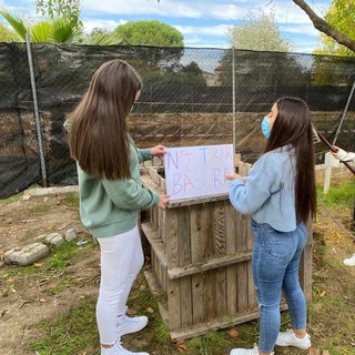13 huerto 2