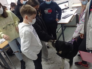 15 animal 3