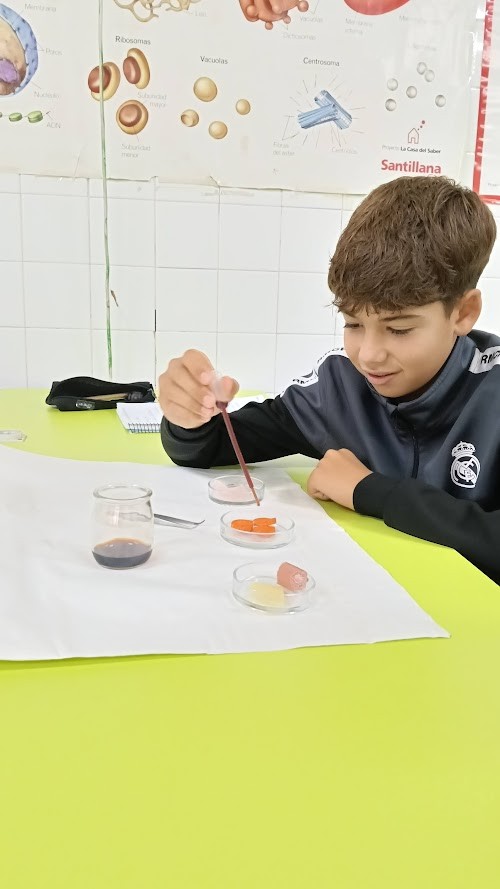 05.clasesdivertidas 03