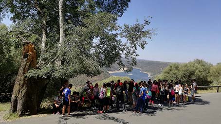 subida al castillo a la sombra de un arce ok