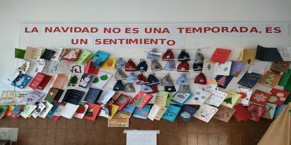 IMG20221215094639