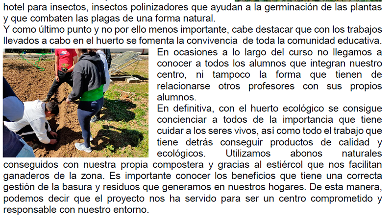 Sin título 3