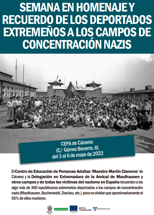 IMG Búsqueda estudios