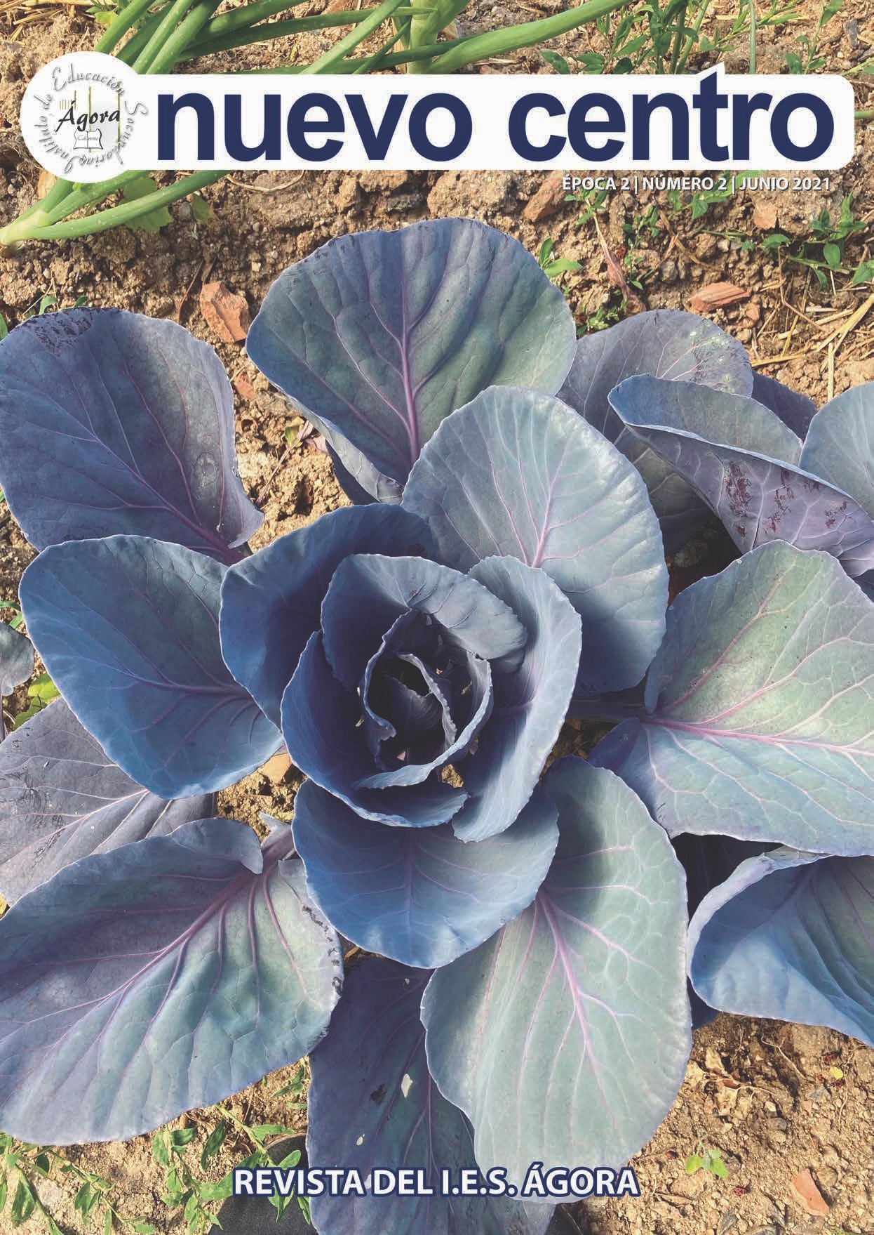 PortadarevistaNuevoCentro2020 21