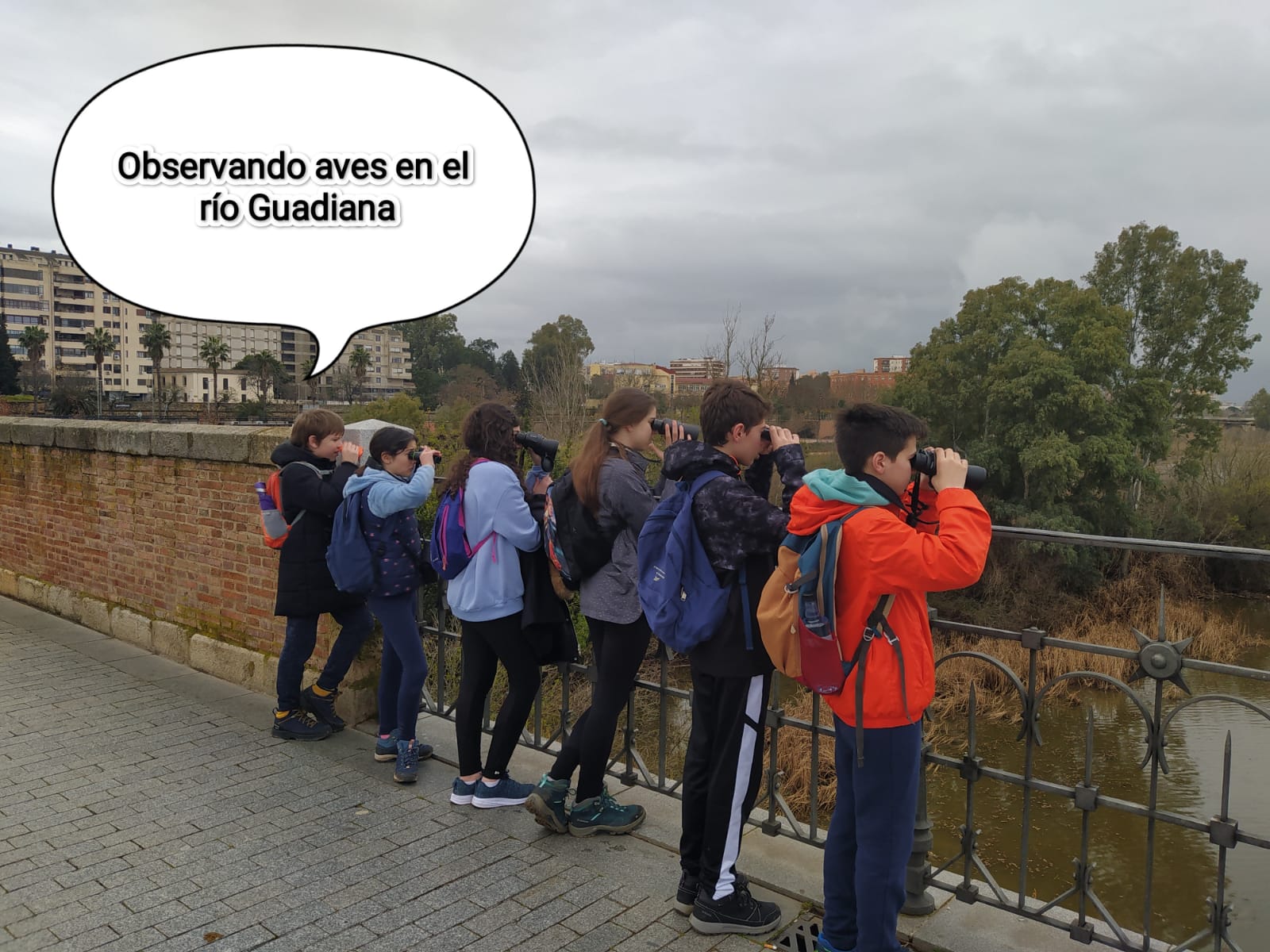 9fcaedbc 3805 4542 bd4e 9ae560408cf9