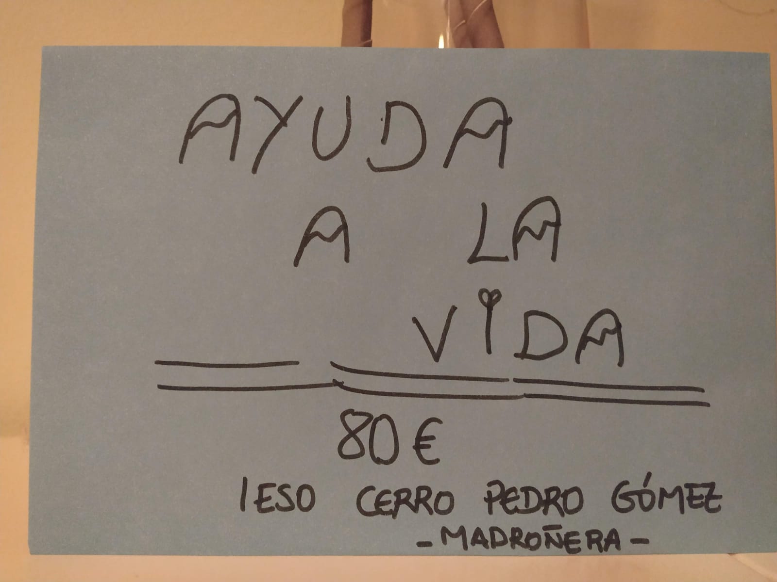 WhatsApp Image 2023 01 18 at 18.18.42