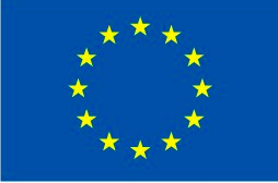 European flag simple