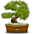 biologiaygeologia