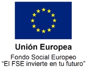 logo FSE MEC