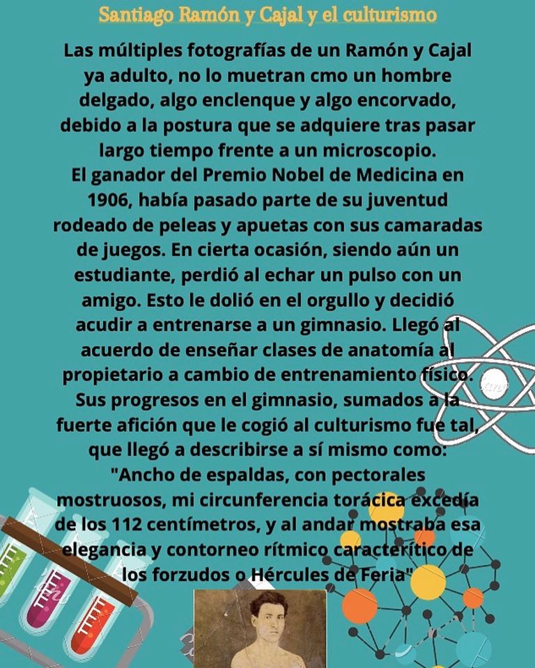 curiosidadesc4