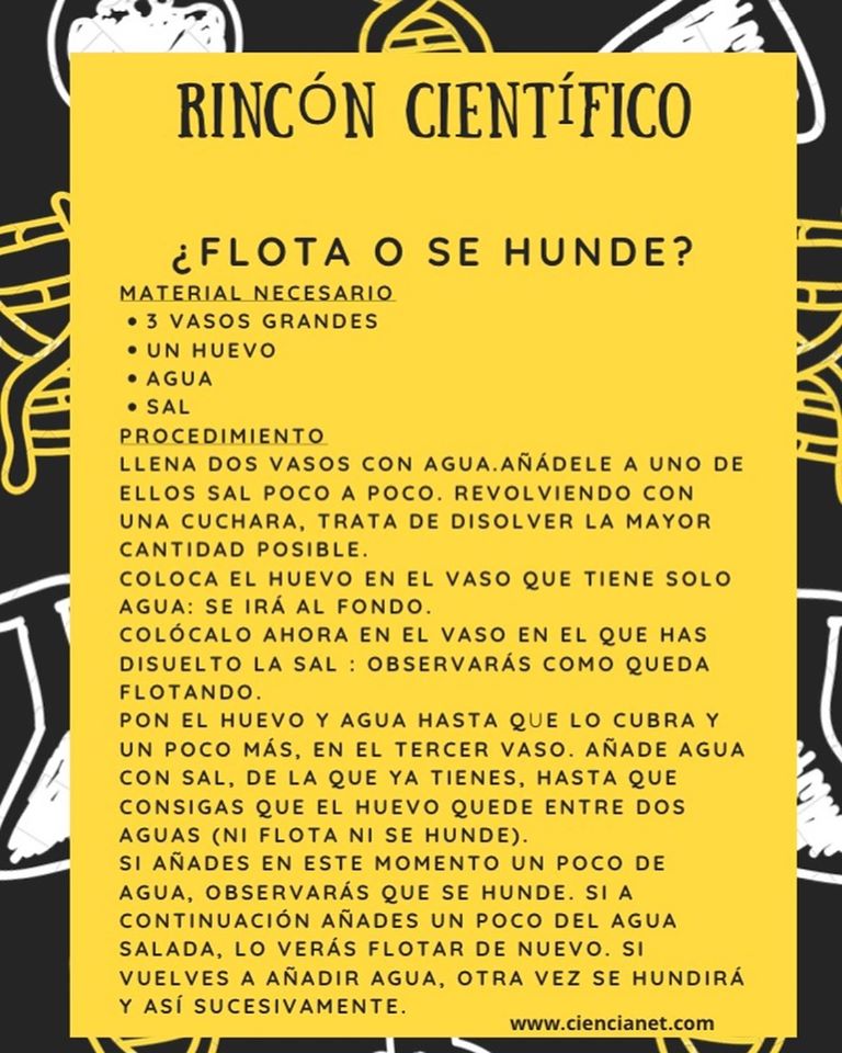 rinconcientifico4