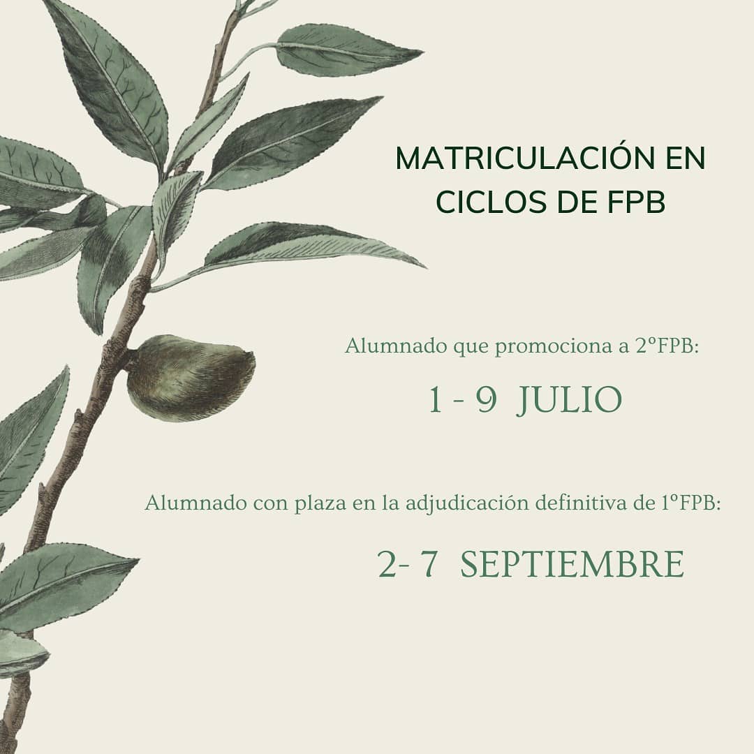 matriculacionFPBasica2022