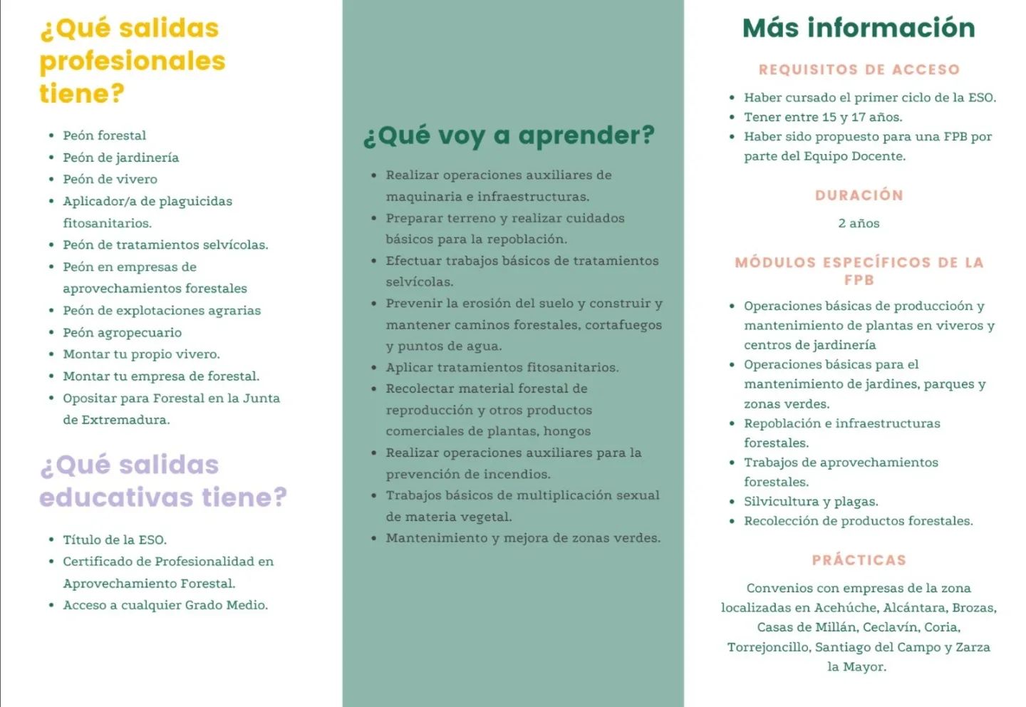 fp promocion2