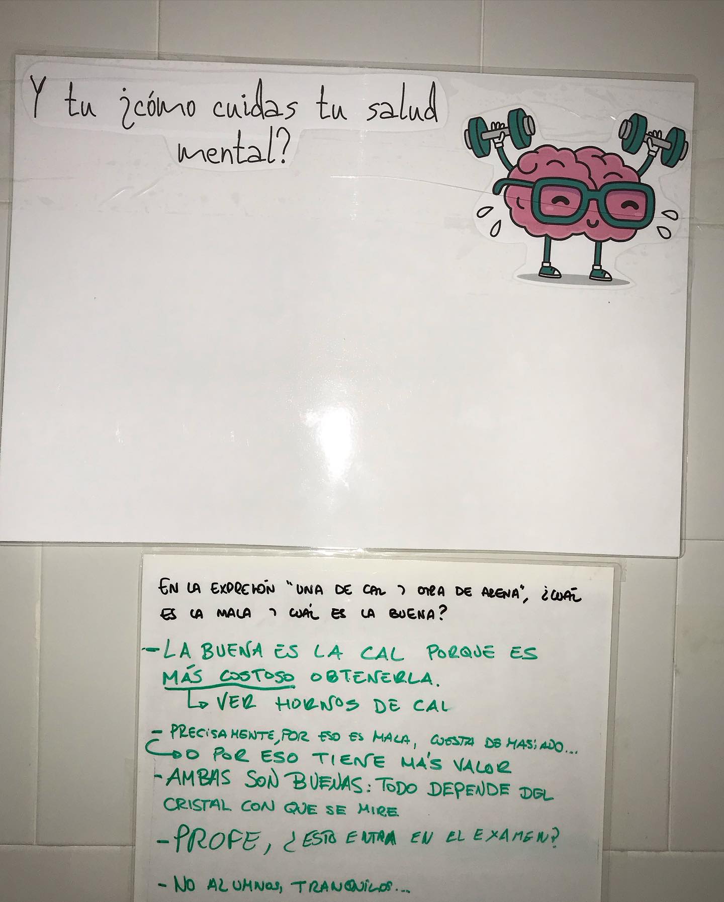 salud mental3