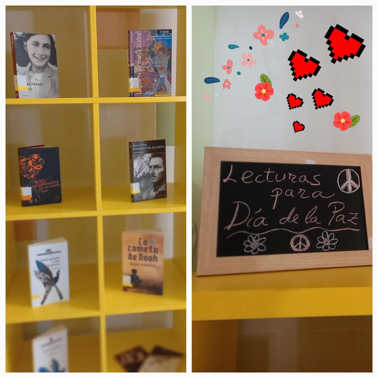 paz biblioteca