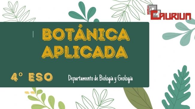 BOTANICA.jpg