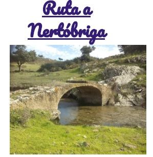 Ruta Nertóbriga