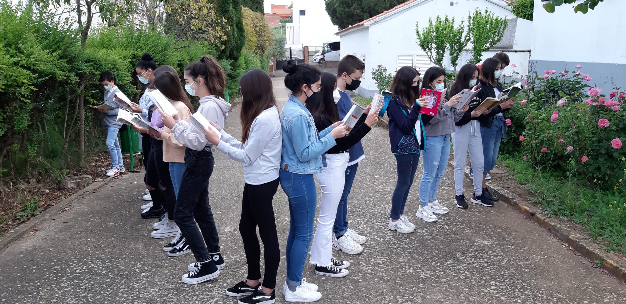 dialibro12