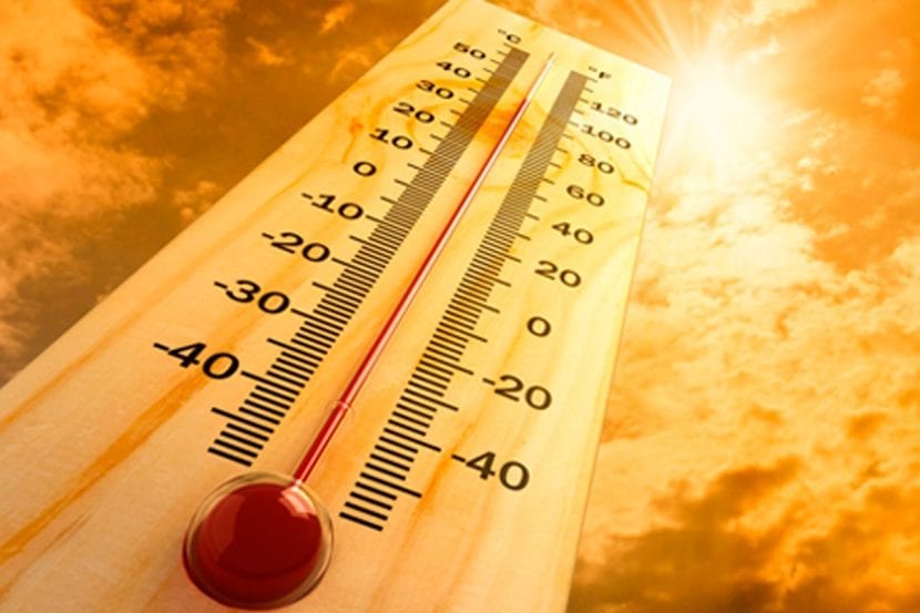 calor 830x553