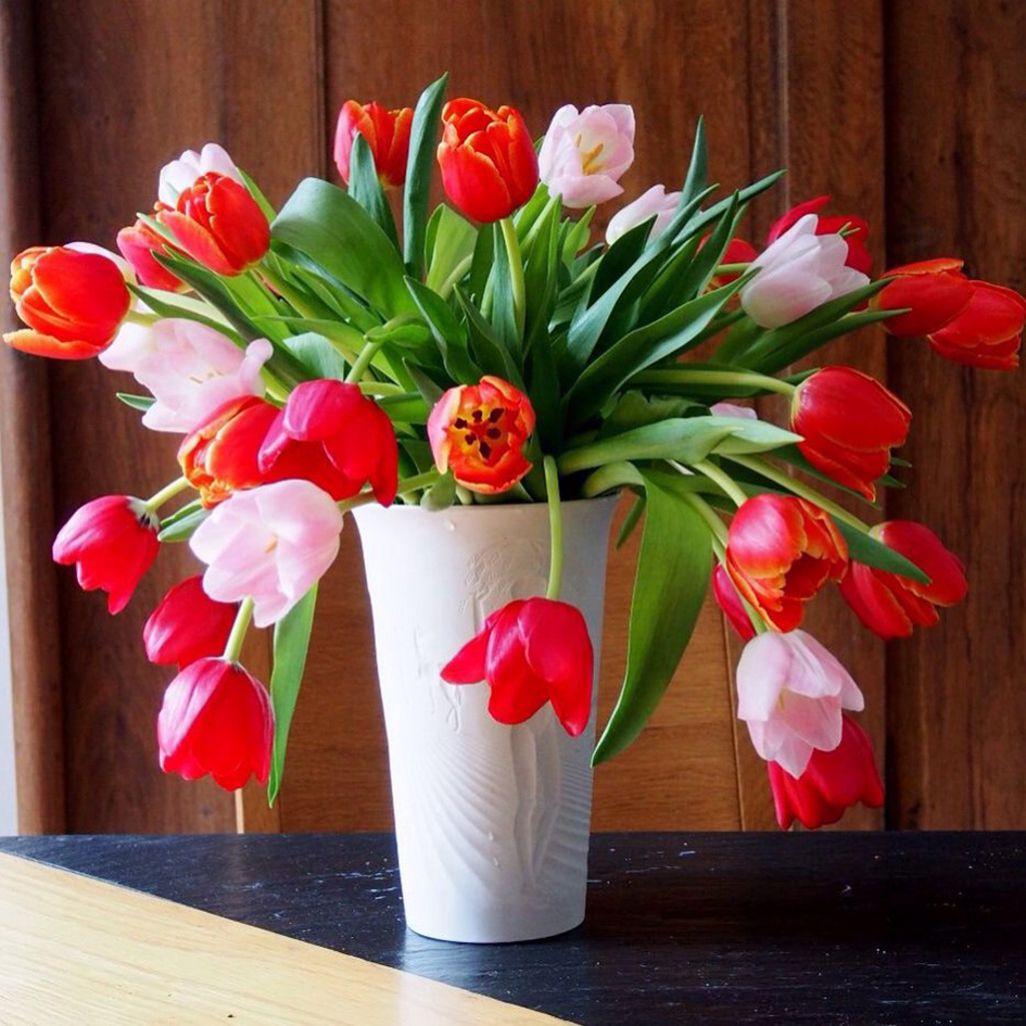 flores