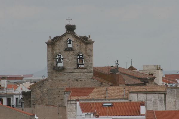 campanario2