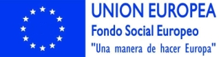 logo fse 2